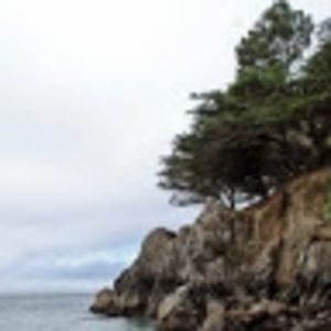 Meet your Posher, Henry